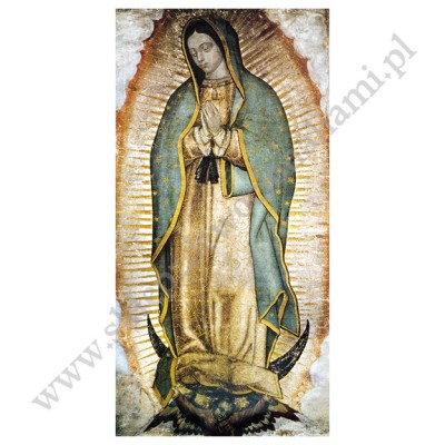 Baner Matka Boża z Guadalupe - wzór 20