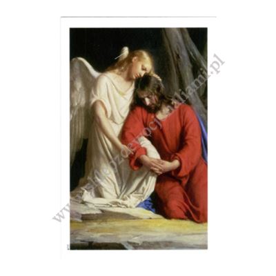 PAN JEZUS W OGRÓJCU - INTENCJE MSZY ŚWIĘTEJ - obrazek 6.5 x 10 cm - paczka 100 szt. - 78906